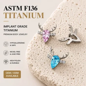 10pcs Titanium Body Piercing Jewelry Set Claw Setting Shell 16G Labret Top Helix