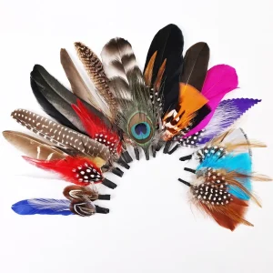 15Pcs Natural Plumage Hat Feathers Decor Ornaments for Fascinator Party Halloween Costume & DIY Craft Supplies