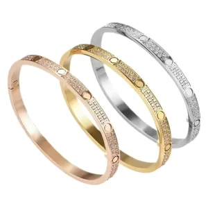 18K Gold Plated Stainless Steel Bangle Two Row CZ Diamond Bracelet Unisex Jewelry Gift