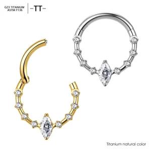 ASTM F136 Titanium 16G Hinged Daith Segment Hoop Nose Ring Gold Plated Zircon Body Jewelry Implant Grade Nose Piercing