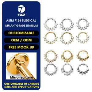 ASTM F136 Titanium Zircon Vintage Scroll Hinged Segment Clicker Nose Ring Body Piercing Jewelry