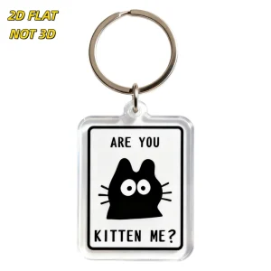 Are You Kitten Me Acrylic Keychain Funny Black Cat Silhouette with Pun Text Clear Double Sided Charm for Keys Bags Backpacks
