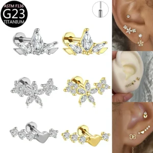 Body Jewelry Earrings with Titanium Zircon Inserts and Gold Plated Flat Back Heart Shapes