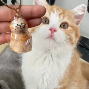 Cat Fur Memorial Charm Resin Keepsake Capsule for Pet Hair Portable Keychain Pendant for Hair Rainbow Bridge Pendant