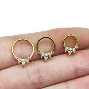Classic Fashion Jewelry 316L Stainless Steel Nose Rings Zircon Body Piercing Jewelry Hoop Daith Cartilage Jewelry Gift