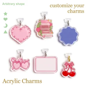 Custom Acrylic Cartoon Cute Phone Dust Plug Charm Charge Port Plug IPhone Anti Dust Cap Type C Dust Protection Stopper Pendant