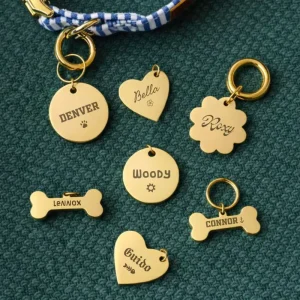 Custom Pet ID Tag Personalized Engraved Stainless Steel Dog Cat Name Tag Anti Lost Pet Collar Charm for Pets