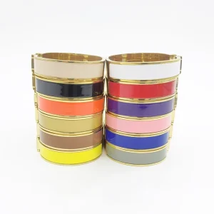 Designer Luxury Brand 12mm Width 17cm 19cm 316L Stainless Steel Bracelet Fashion Jewelry Letter H Enamel Bracelet Bangles