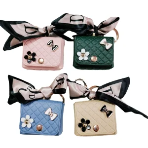 Designer Mini Coin Purse Earphone Bag Charm Key Chain Accessories Purse Keychain Bag