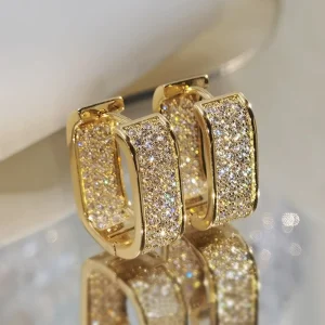 European American Style Micro Paved Zircon Stud Light Luxury Fashionable Trendy Young Women’s Cross Border Items
