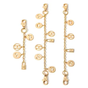 Fashion Ladies Bag Accessories Metal Chain Strap for Bag Handbag Luxury Charm Chain