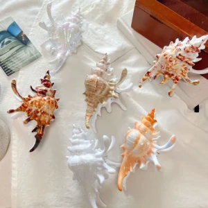 Fashion Summer Vacation Style Hair Accessory Plastic 3D Conch Shape Hair Clasp Women’s Gift