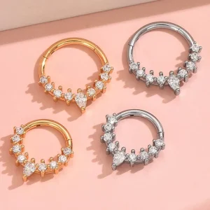 Fast Shipping Customization Septum Ring Daith Piercing Jewelry 16G Nose Rings Hoops Hinged Segment Clicker Body Piercing Jewelry