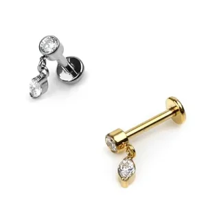Flat Back Earring Dangle Tragus Cartilage Earring Stainless Steel Body Piercing Fashion Body Jewelry for Women Men
