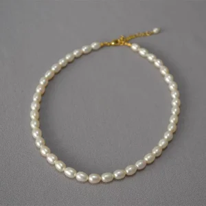 French Jewelry Necklaces Natural Pearls Freshwater Pearl Choker Necklace for Women