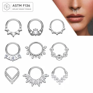G23 ASTM F136 Titanium 16G Zircon 18K Gold Plated Septum Segment Ring Spike Daith Cartilage Hoop Nose Piercing Jewelry Gift