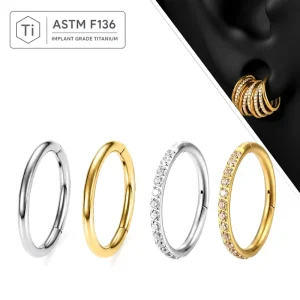 G23 Titanium Hinged Segment Nose Ring CZ Clicker 16G 18G 20G Septum Hoop Cartilage Helix Lip Piercing Hypoallergenic ASTM Jewelry