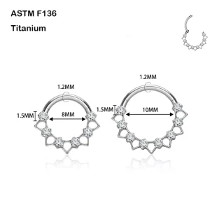 Implant Grade ASTM F136 Titanium Hinged Segment Nose Rings Septum Daith Piercing G23 Body Jewelry for Men Women