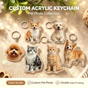 Laser Cut Clear Acrylic Keychain Blanks Custom Shape Transparent Acrylic Keychain Pet Photo Cat Dog Acrylic Keychain