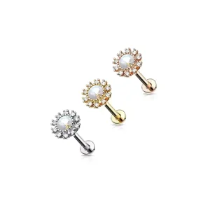 Lip Ring Labret Piercing Stainless Steel Tragus Helix Piercing Flower Cartilage Earring Fashion Body Jewelry for Women Men