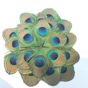 Natural Dyed Bleached Peacock Feathers Individual Peacock Eyes Stage Hair Accessories DIY Handmade Jewelry Clothing Materials