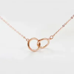 New Fashion Jewelry Chain 925 Silver Double Circle Necklace for Women