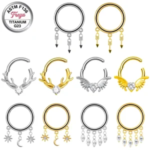 Nose Piercing Jewelry Titanium Zircon Septum Dangle Nose Ring for Women Segment Hoop Drop Stud Earrings