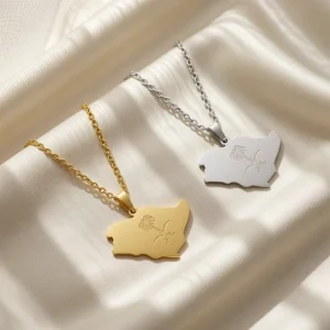 Stainless Steel Alloy with Gold Plating Minimalist Saudi Arabia Map Geometric Pendant Necklace Women Everyday Wear