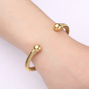 Stainless Steel Gold Plated Cable Twist Bangle Bracelet Men’s Women’s Fashion Jewelry Horseshoe Buckle Accessories