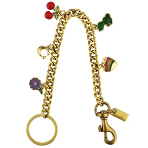 Summer Versatile DIY Bag Charm Fashion Replacement Bag Chain Trendy Crossbody Handbag Accessories for Women