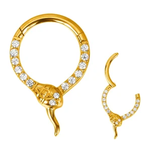 Titanium Ouroboros Segment Ring With CZ Paved Face Helix Earring Nose Ring Ear Ring