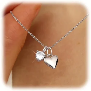 Trendy Stainless Steel Heart Coin Pendant Necklace